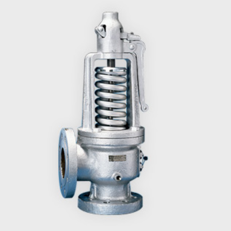 Steam Safety Direct Spring Valve - Model 300/600