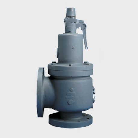 Steam Safety Direct Spring Valve - Model 6252/6254